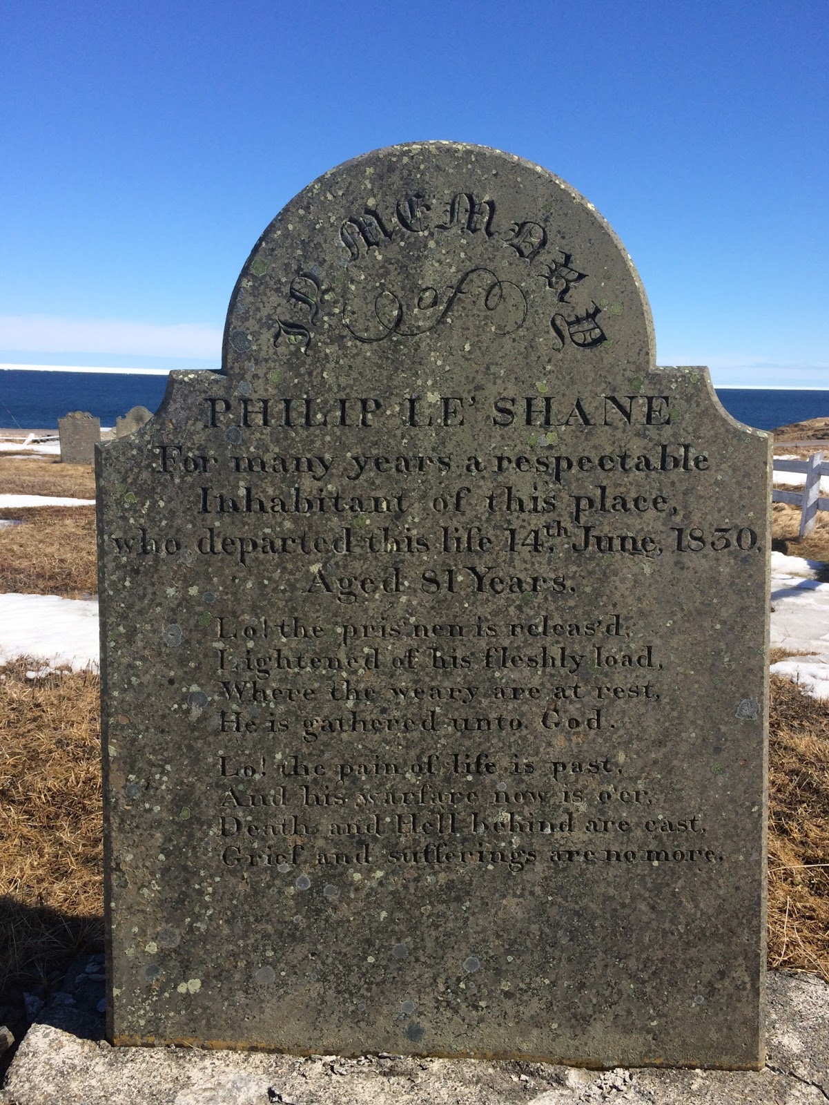 Lower Island Cove April 2017