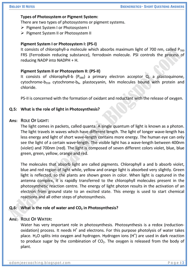 bioenergetics-short-question-answers-biology-11th