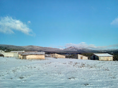 nieve en la serrania de cuenca. autor, miguel alejandro castillo moya