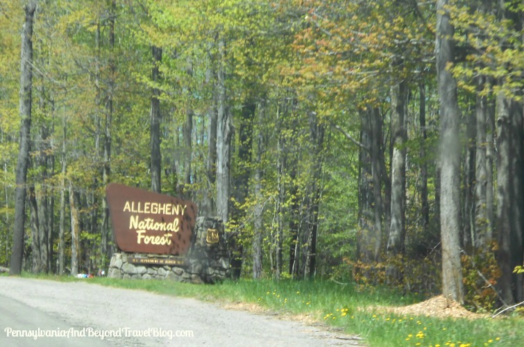 Pennsylvania Amp Beyond Travel Blog Visiting The Allegheny