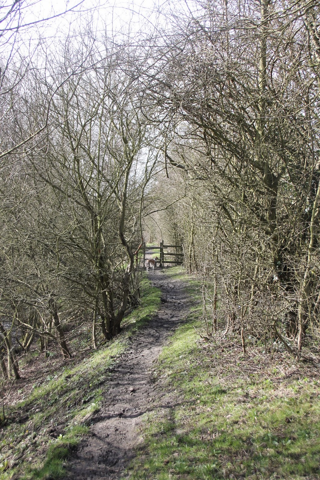 Willowbank Walks Walking on the Willow, Dearne Way from Wilthorpe
