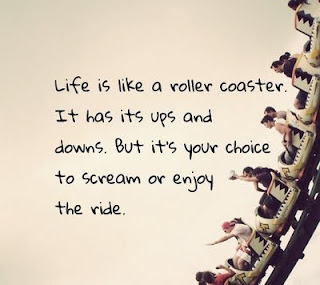 Funny Pictures Gallery: Live life to the fullest quotes, quotes about