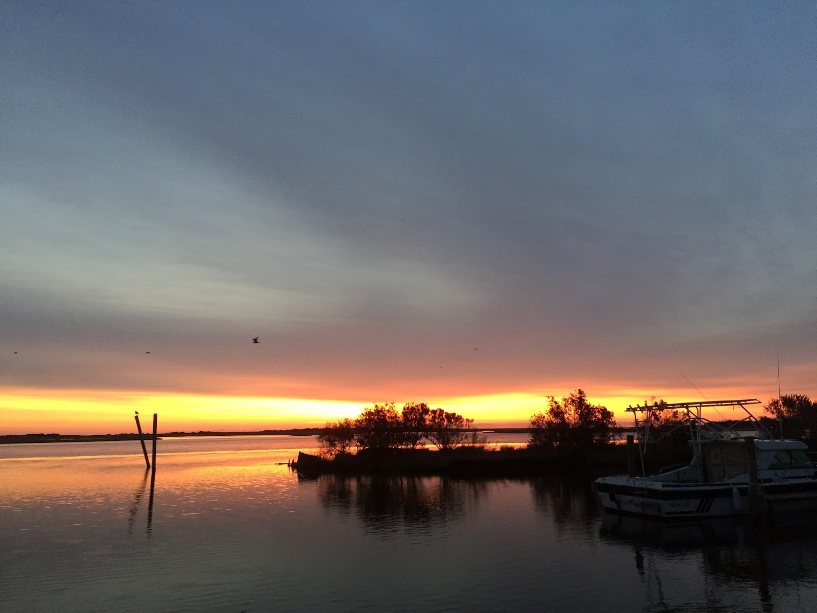 Sandrobber Swan Point to Southport, NC