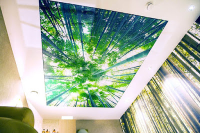 3d photo printing ceiling murals and ceiling art designs