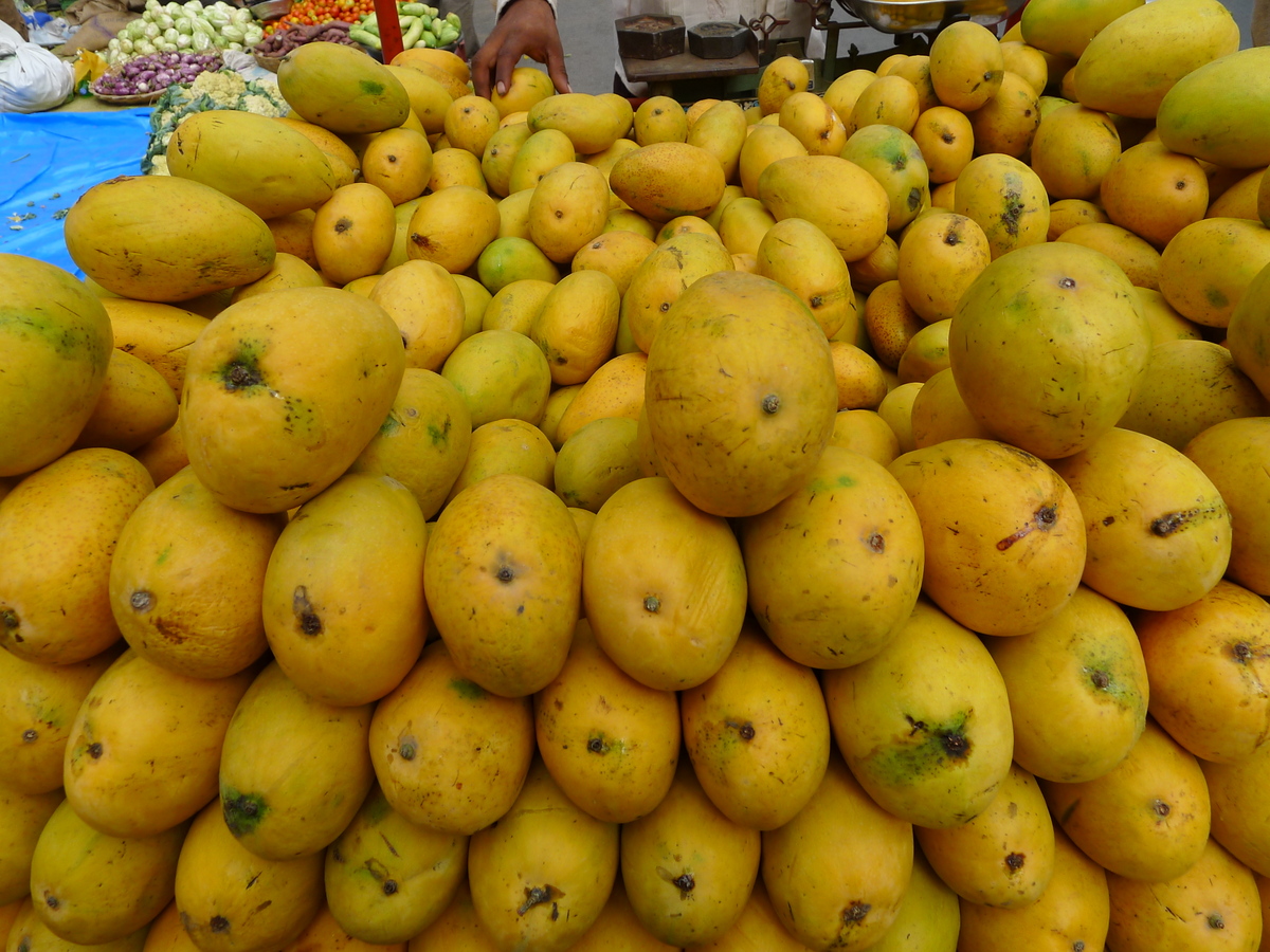 Mangoes For Sale In Hyderabad at Ralph Traub blog