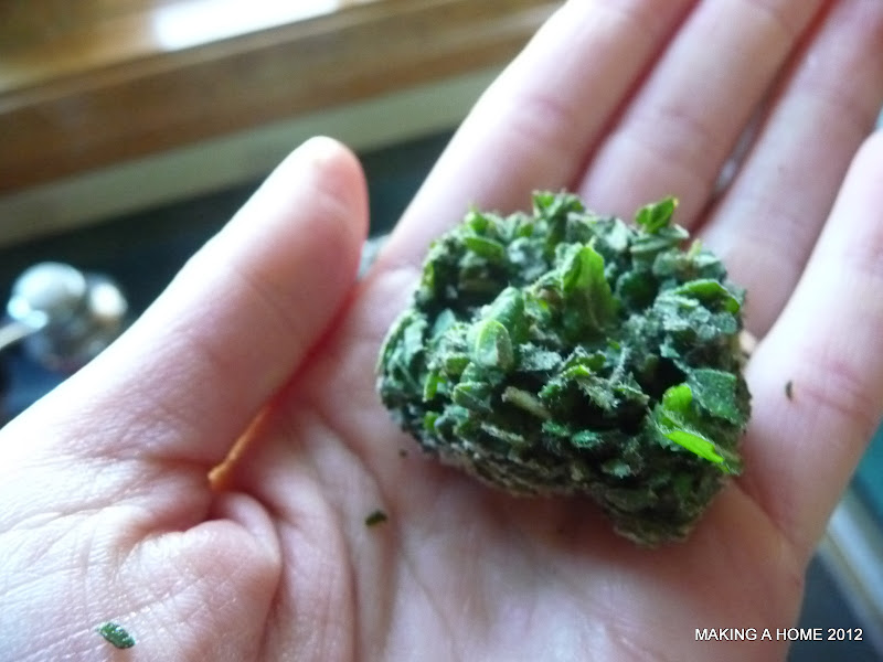 Making A Home How to Freeze Fresh Basil and Oregano