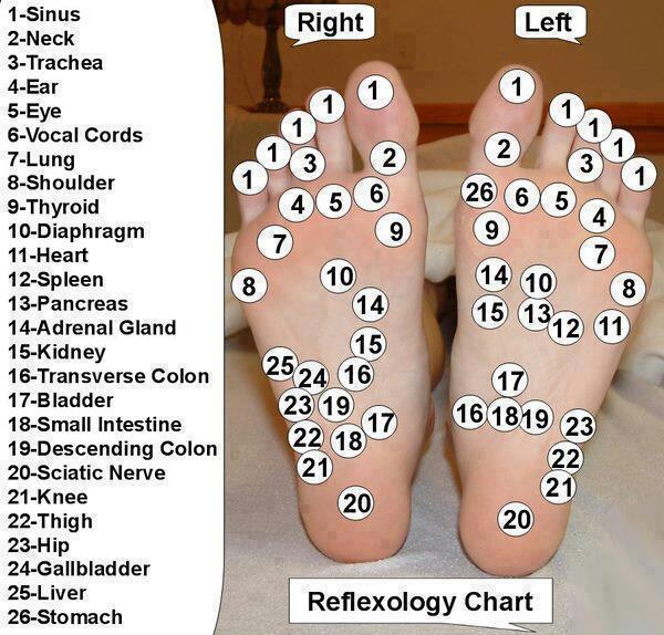 Urutan refleksologi kaki