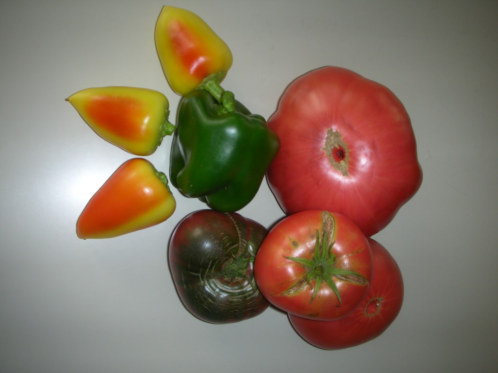 Green Roof Growers Starting Seeds Free Heirloom Seeds from the US