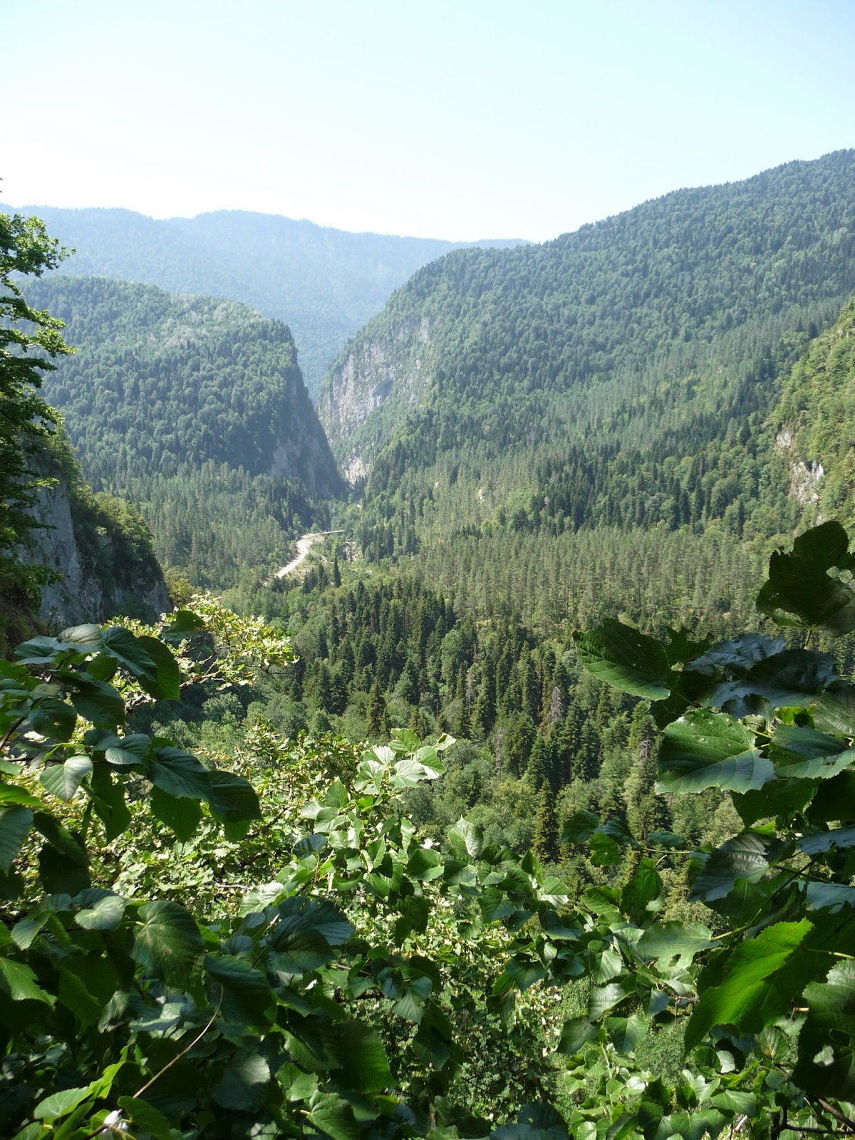 Национальный парк в абхазии