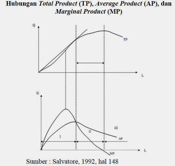 Hubungan Total Product (TP), Average Product (AP), dan Marginal Product (MP) (Salvatore, 1992 Hal 148) Hubungan Total Product (TP), Average Product (AP), dan Marginal Product (MP) (Salvatore, 1992 Hal 148)