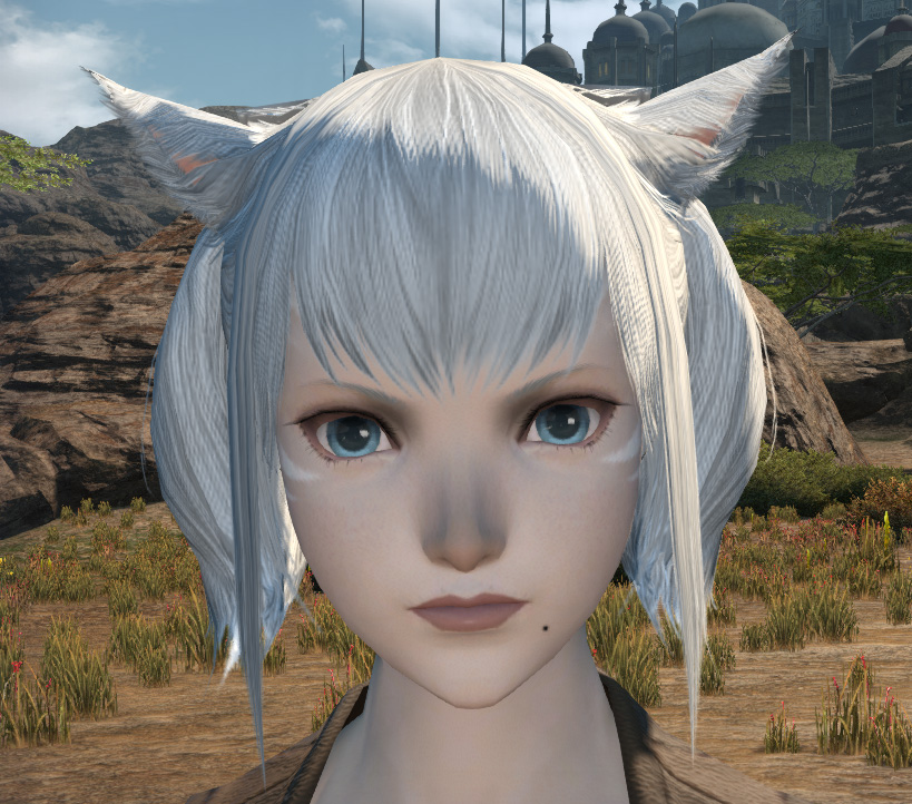 【FF14】キャラクタークリエイション てくてくノート