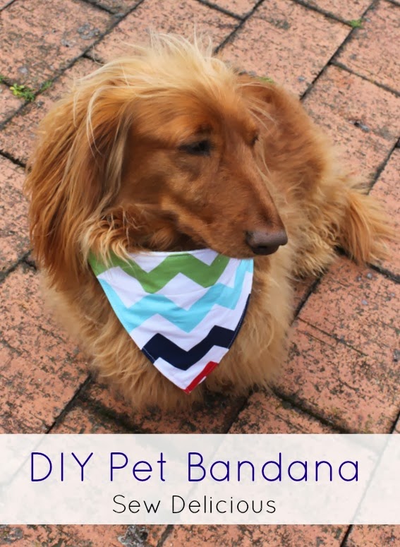 How To Make A Dog Bandana With Snaps All You Need Infos