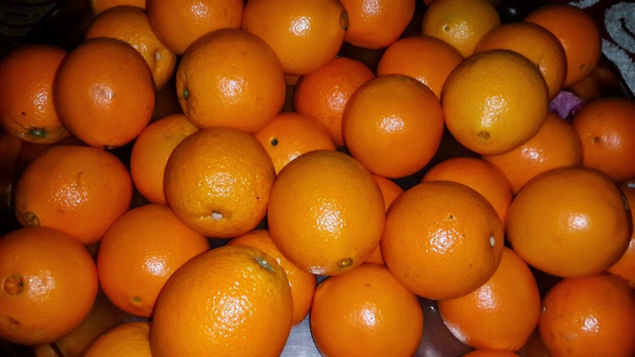 NairobiMail Fresh Egyptian oranges and Grapes now avaliable