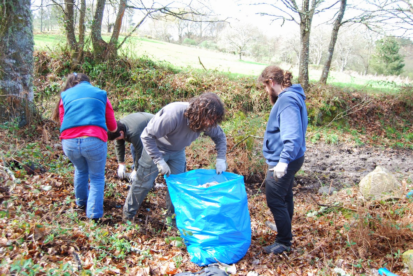 Quercus Sonora Actividades
