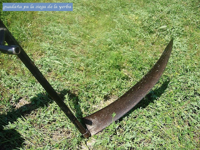 Asturias: La Asturias Rural y profunda temporada de la hierba