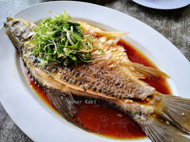 Eating Sultan Fish or Why I Still Haven't Tried Zai Shun's Curry Fish Head Sultan_Fish_Zai_Shun_Singapore