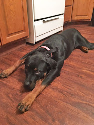 viking holiday gift guide cooker steamer pressure quietly woo laid wooed stove until done then she down