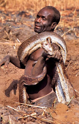 Shocking Pictures of an African Catching Python for a Living Seen On www.coolpicturegallery.us