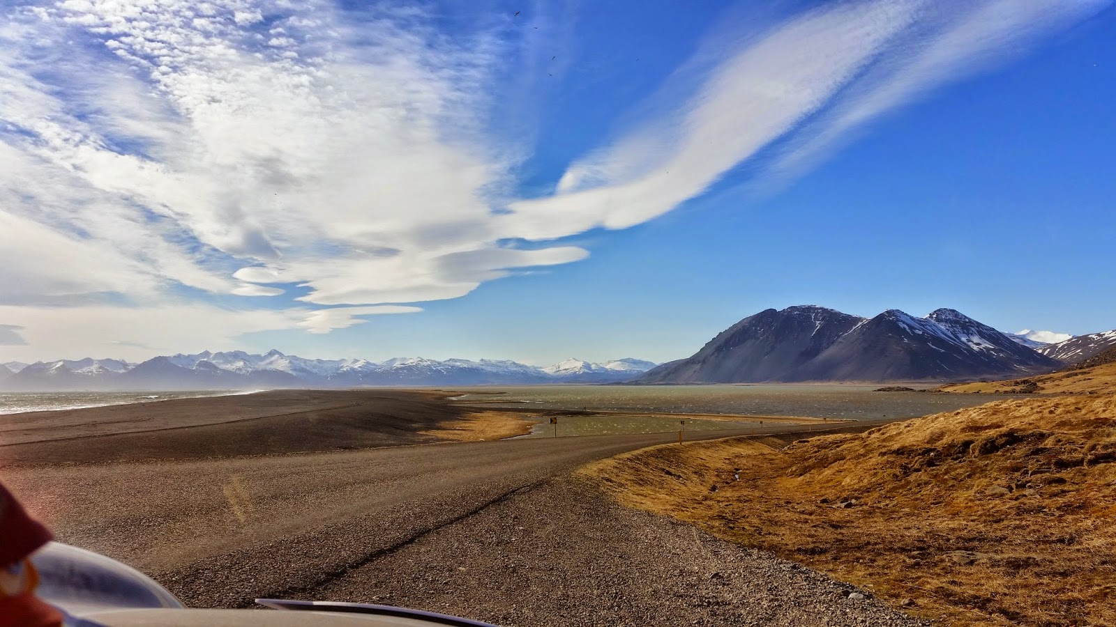 View from a Porsche 356A 