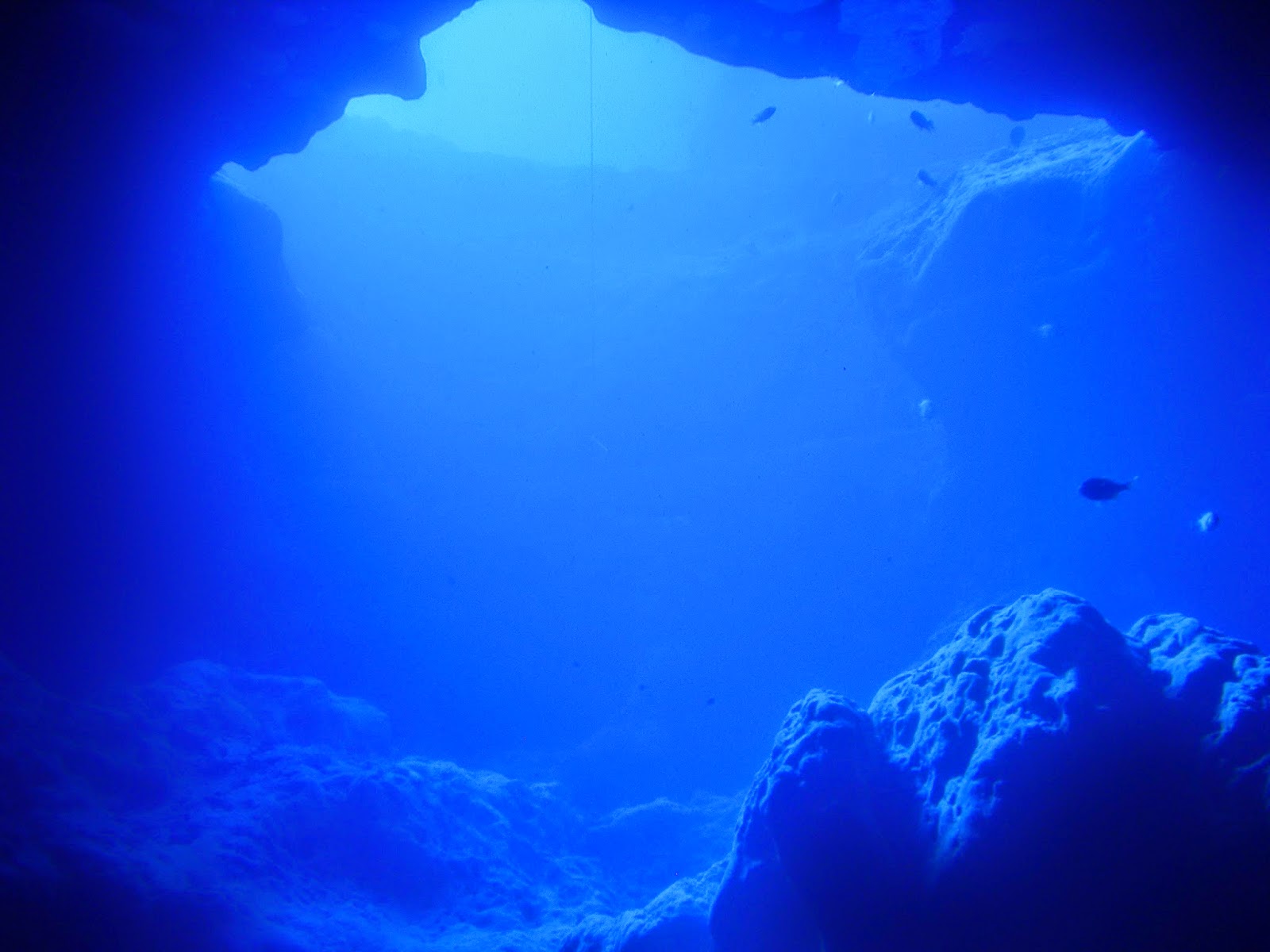 Conspiración Global 2.0 [Estudio] Científicos descubren océano en la