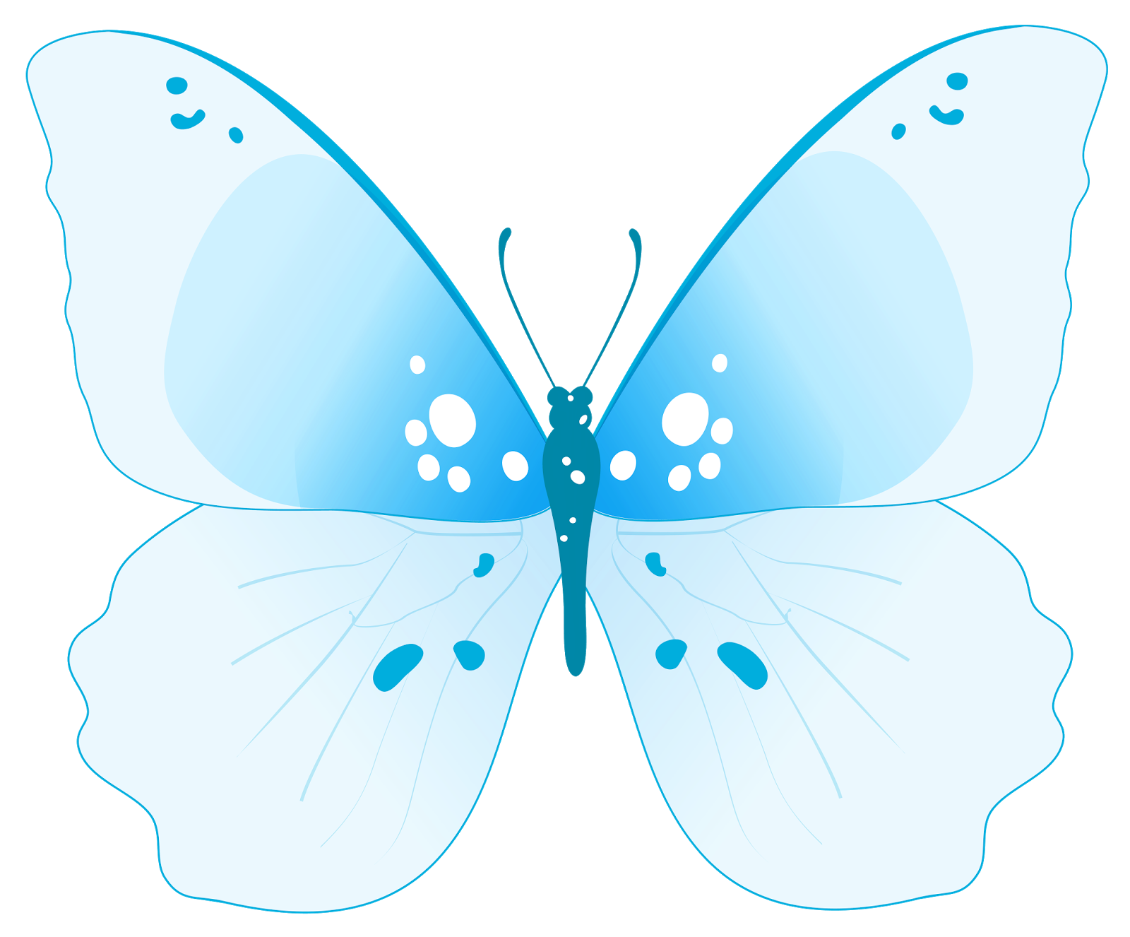 Бело голубые бабочки. Бабочки на белом фоне. Бабочка рисунок. Красивые бабочки на прозрачном фоне. Бабочка рисунок на белом фоне.