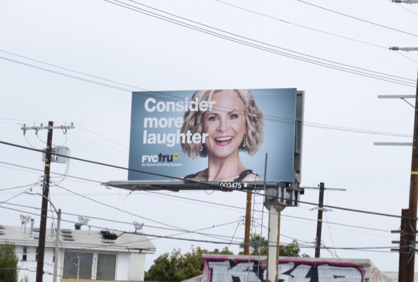 At Home with Amy Sedaris 2018 Emmy FYC billboard Venice Boulevard At Home Amy Sedaris 2018 Emmy FYC billboard