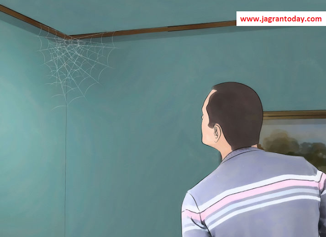 Remove Spider Webs Immediately for Money
