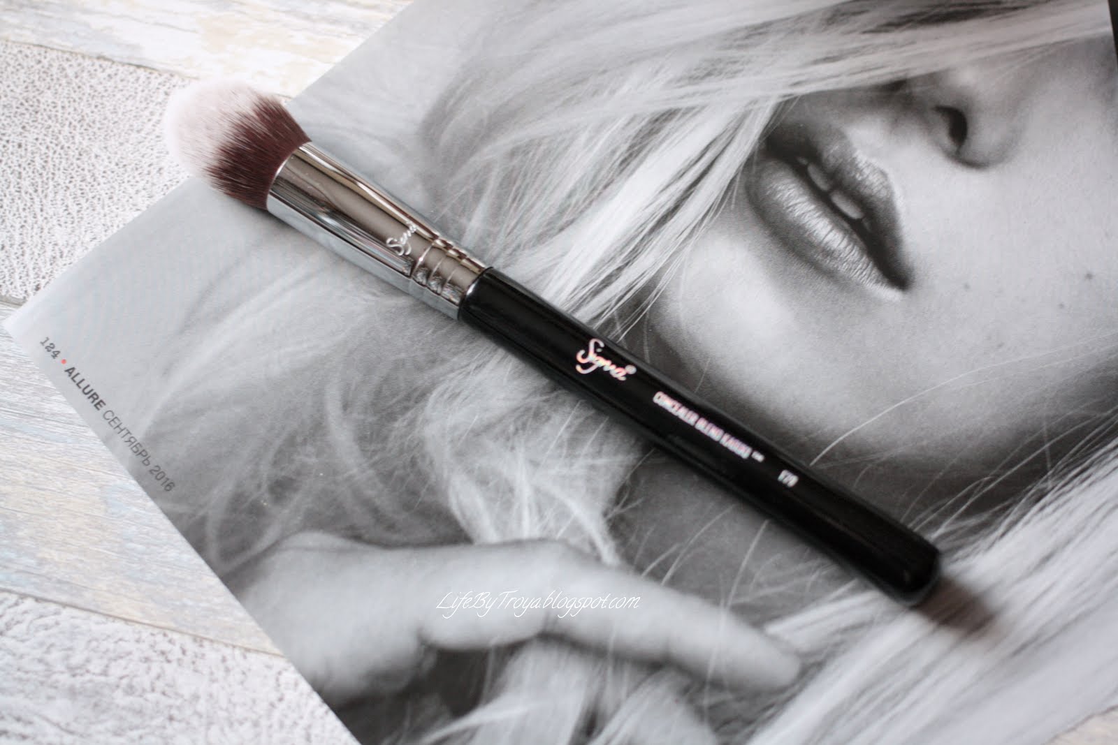 Review Sigma Brushes F79 Concealer Blend Kabuki, E34 Domed Utility