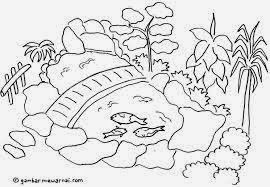 Gambar Mewarnai Kolam Gambar Mewarnai Lucu