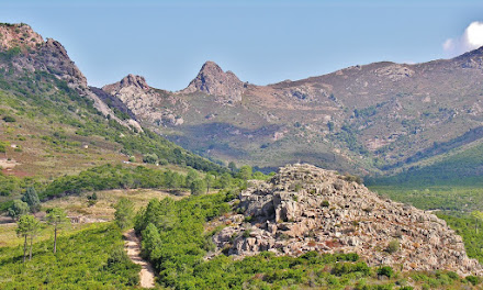 SAMBUCU - CALENZANA (Corsica)