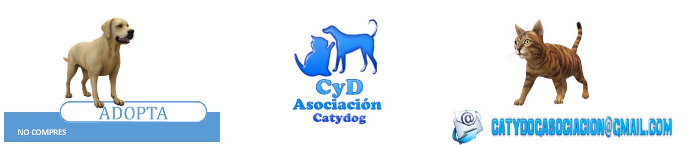 Asociación Catydog
