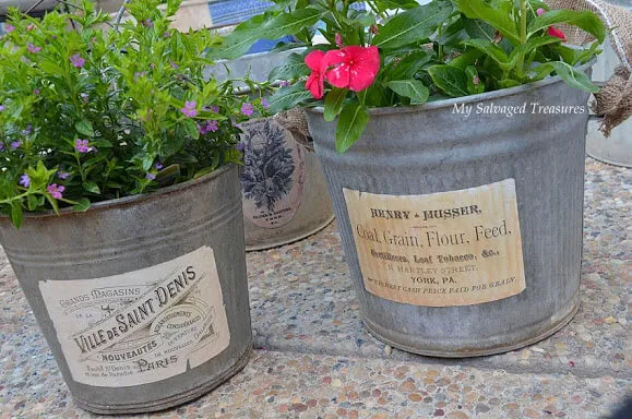 Two galvanized tubs decorated with printable labels and filled with flowers