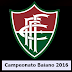 ESPORTE / Fluminense entra para o hall dos times “ficha-limpa”