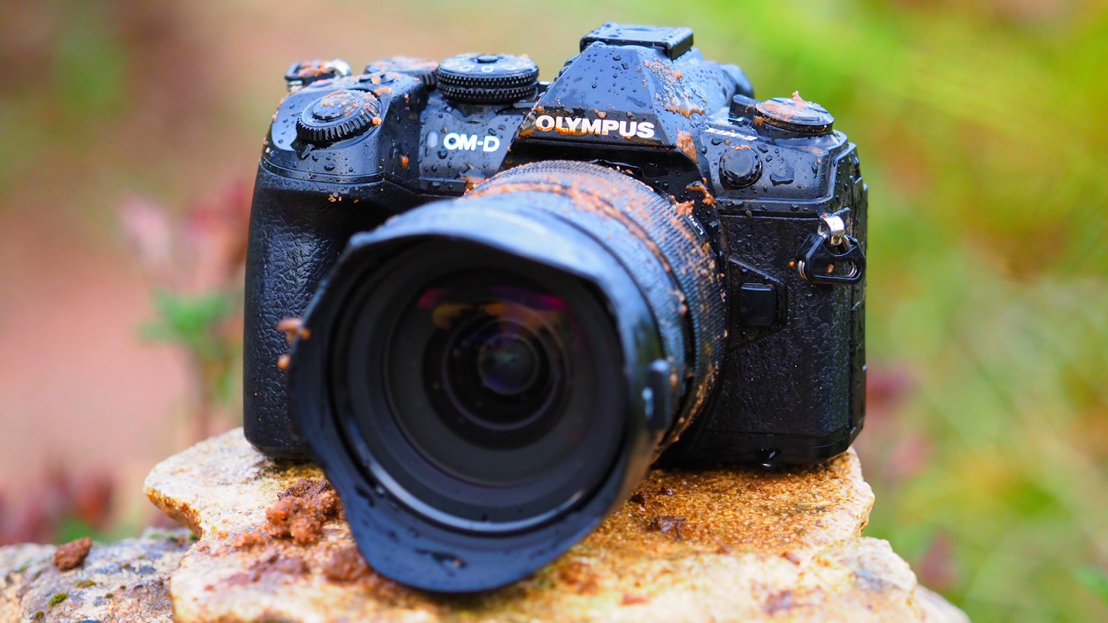 фотоаппарат sony 6400. Sigma 14-24mm f/2. Sigma 300mm f/2. Sigma 20mm f1. камера fujifilm xt 20.