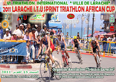 Cartel del VI Triatlón