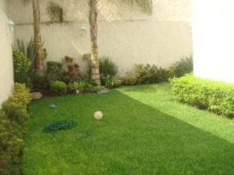 Ideas y estilos para decorar tu patio trasero