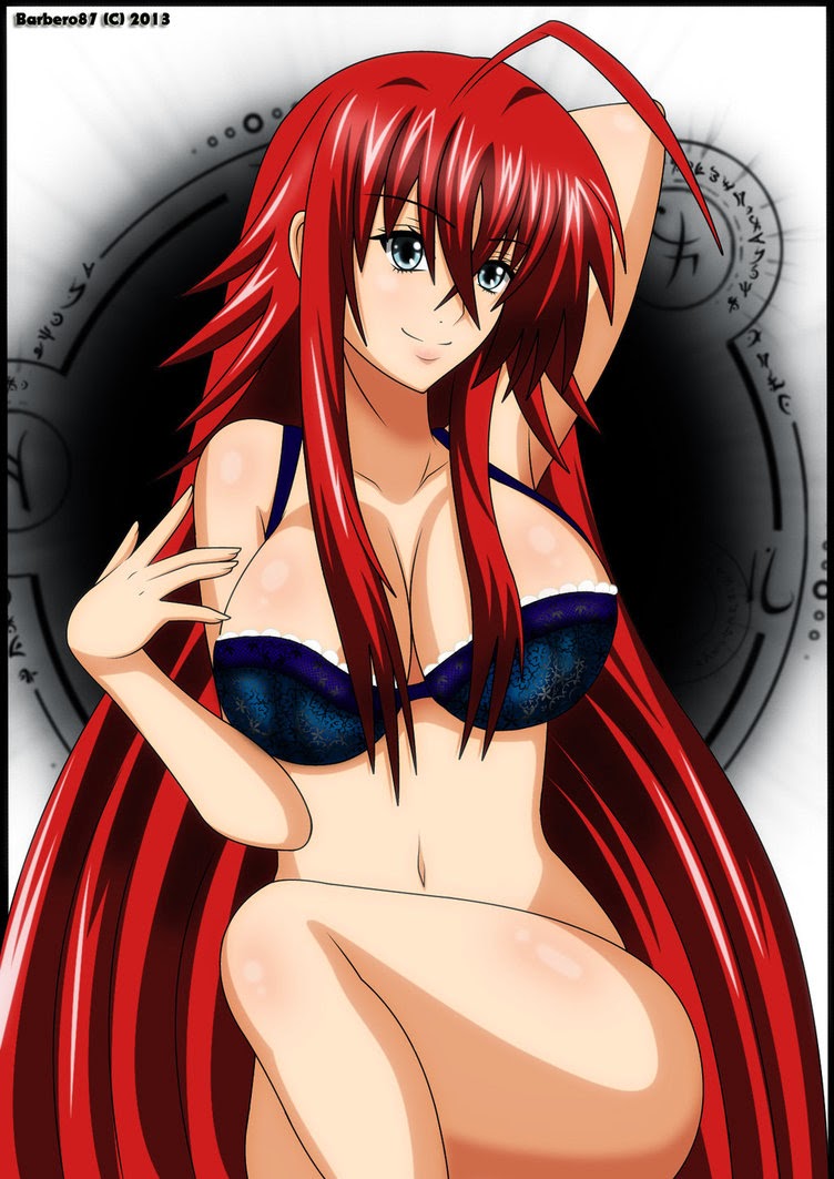 2 Mice In A Box High School Dxd Sexy Rias Gremory