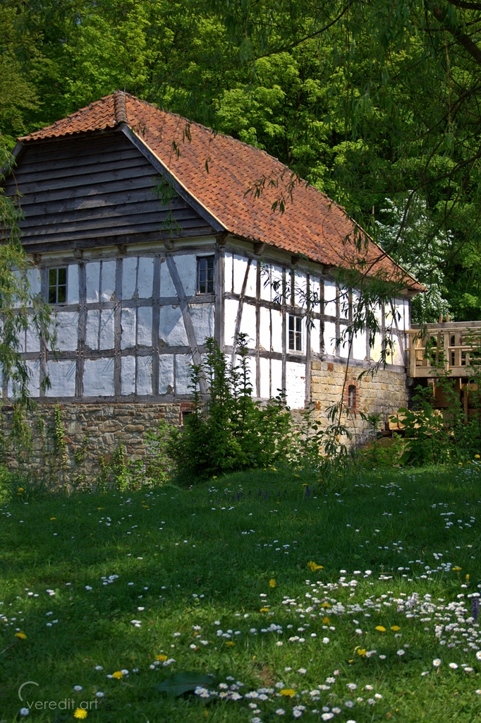 Veredit Photographic Poems 05 2011