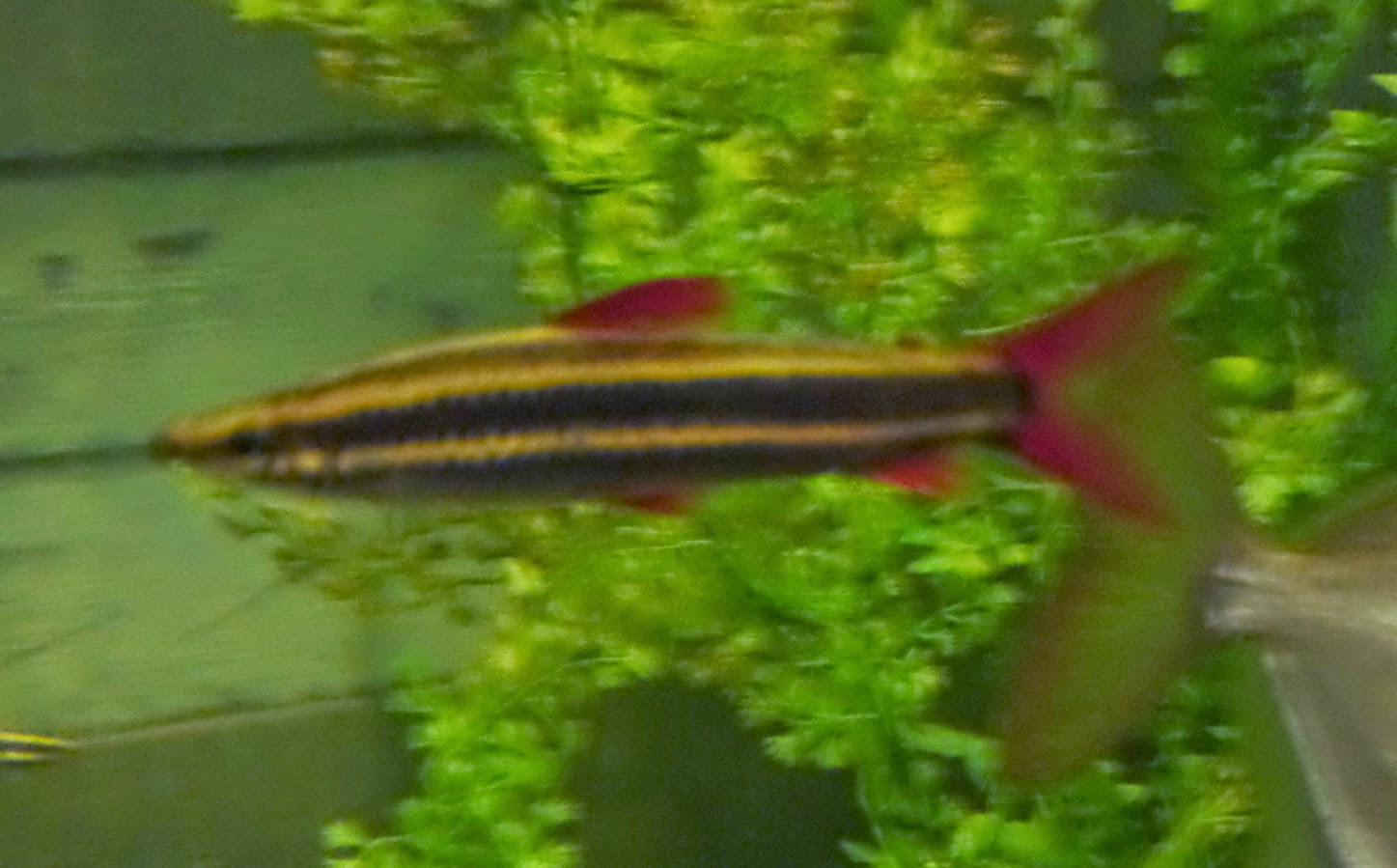 Cummings...and goings... Bay View RV Park, Rockport, Texas April 16