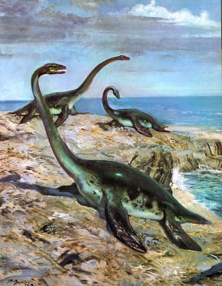 plesiosaur sea dinosaurs