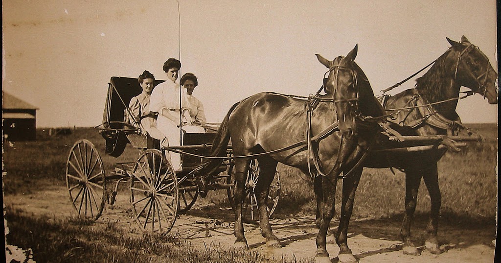 Horse and buggy, 1895 vintage everyday