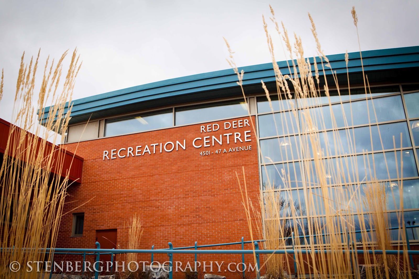 Stenberg Photography Red Deer and Sylvan Lake Areas Red Deer City