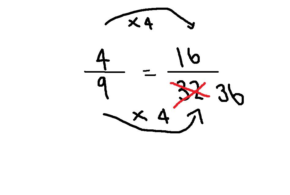 817 Math Blog (2011): Paige's Proportion Post