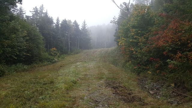 En direction du sommet du SugarLoaf