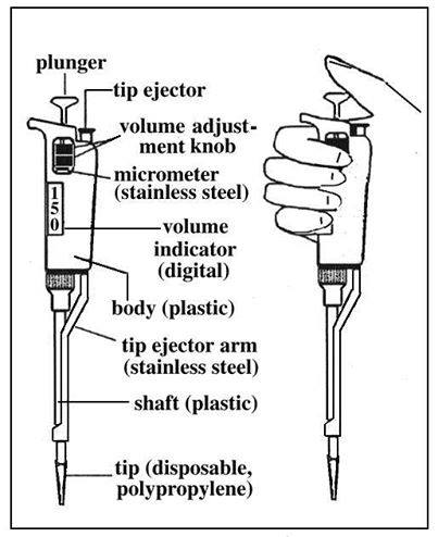 PHARMACEUTICAL MICROBIOLOGY: Micropipette