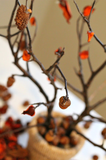 tree branch centerpiece - Turtles and Tails