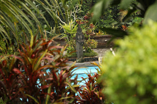 Dunkeldegu April 2014