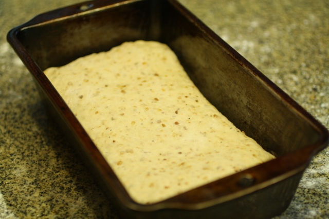 Pan de avena tostada / Toasted oatmeal bread