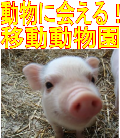 ハイジ牧場 飼育員のブログ 北海道夕張郡長沼町 移動動物園 移動動物園がやってくる
