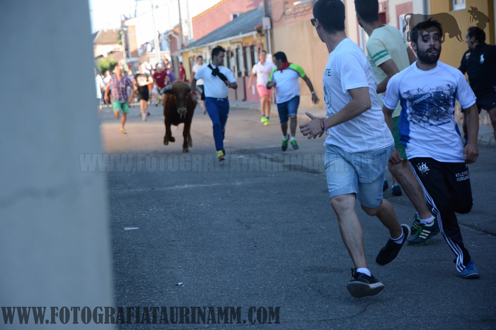 Santa Cristina de la Polvorosa 2016 Galerias Fotografia Taurina Mm